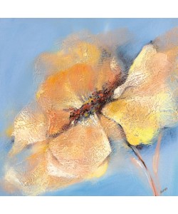 Elena Filatov, Bright Anemone I