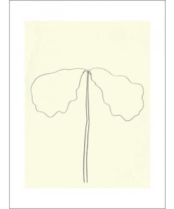 Ellsworth KELLY, Chêne, 1964 (Büttenpapier)