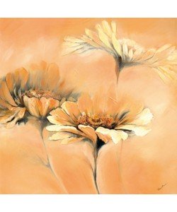 Elena Filatov, Apricot Summer II