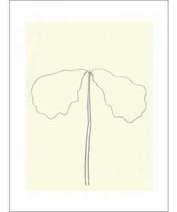 Ellsworth KELLY, Chêne, 1964 (Büttenpapier)