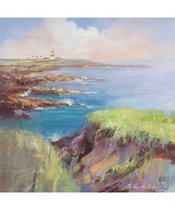 Emmanuelle Mertian de Muller, Hook Head, Irelande