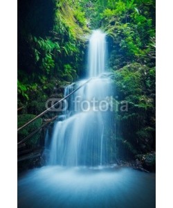 EpicStockMedia, Beautiful Lush Waterfall in Hawaii