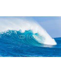 EpicStockMedia, Wave