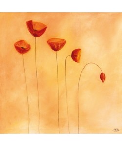 Erika Heinemann, Poppy Family