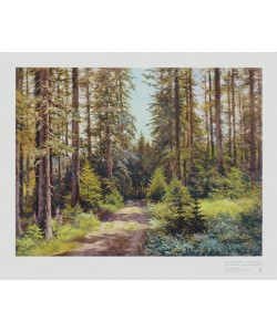 Ernst Frommhold, Sonniger Waldweg