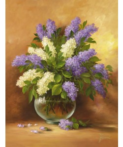 Fasani, Smell Of Lilac II