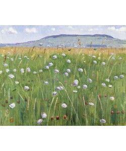 Ferdinand Hodler, Wiesenstück