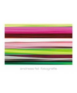 Andreas Feil, Fotografie II