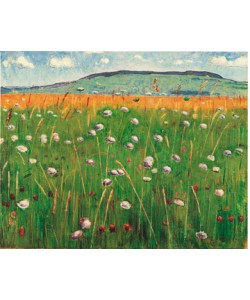 Ferdinand Hodler, Wiesenstck, 1900/1902