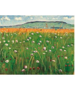 Ferdinand Hodler, Wiesenstck, 1900/1902