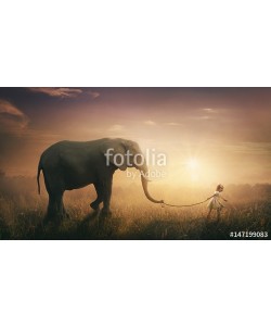kevron2001, Elephant walked by child
