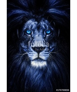 Baranov, Portrait of a Beautiful lion, lion with icy eyes