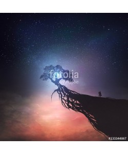 kevron2001, Tree and night sky