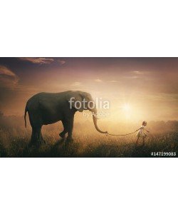 kevron2001, Elephant walked by child