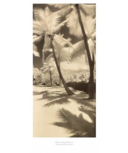 Susan Friedman, Palm Shadows II