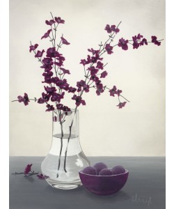 Franz Heigl, Royal Blossom Ii