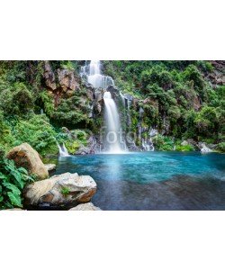 Frog 974, Cascade du bassin des Aigrettes - Ile de La Réunion
