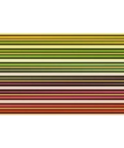 Gerhard Rossmeissl, Color Lines I