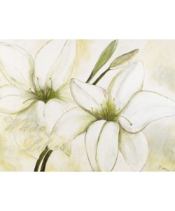 Gerstner Heidi, White Lilies