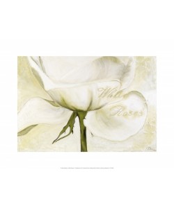 Gerstner Heidi, White Roses II