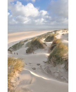 Georges-Félix Cohen, Les dunes - pastel