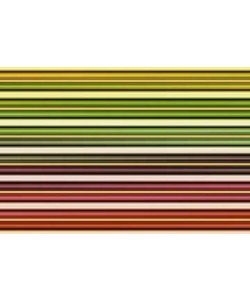 Gerhard Rossmeissl, Color Lines I