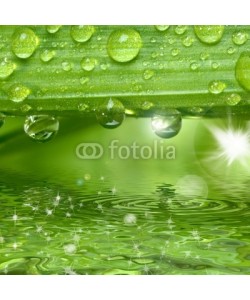 Gerhard Seybert, Wassertropfen auf grÃ¼ner Pflanze mit Sonne und Glitzern