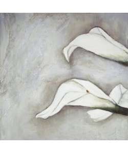 Gerstner Heidi, Brilliant Calla III