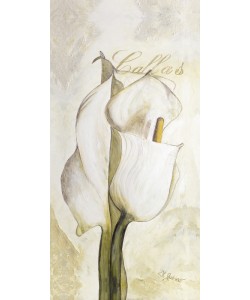 Gerstner Heidi, Standing Rose