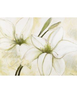 Gerstner Heidi, White Lilies