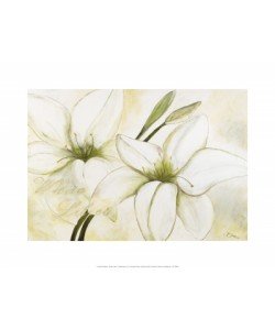 Gerstner Heidi, White Lilies
