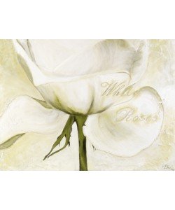 Gerstner Heidi, White Roses II