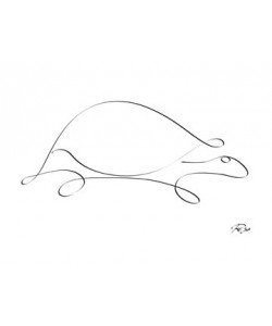 Gholam Reza Mahdavi, Turtle