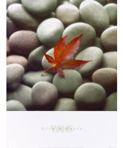 Glen & Gale Wans, Leaf on Stone