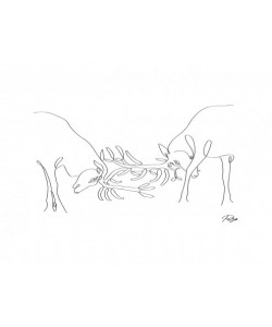 Gholam Reza Mahdavi, Deer Fight 01