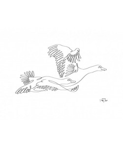 Gholam Reza Mahdavi, Geese