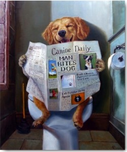 Lucia Heffernan, Dog Gone Funny