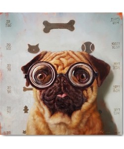 Lucia Heffernan, Canine Eye Exam