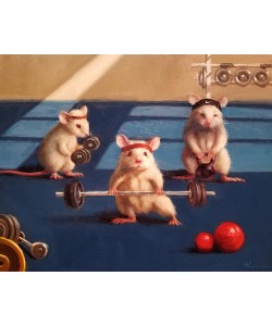 Lucia Heffernan, Gym Rats