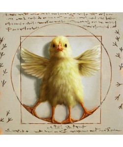 Lucia Heffernan, Vitruvian Chick