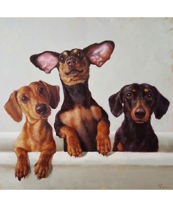 Lucia Heffernan, 3 Amigos