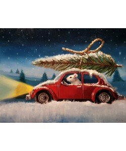 Lucia Heffernan, Tis the Season