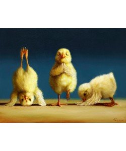 Lucia Heffernan, Yoga Chicks