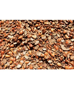 Hady Khandani, ARGAN NUTSHELLS - MOROCCO