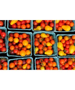 Hady Khandani, BELL PEPPERS IN BOXES