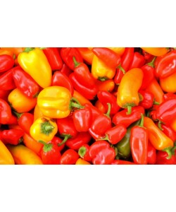 Hady Khandani, BELL PEPPERS - YELLOW AND RED