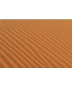 Hady Khandani, DESERT SOIL - SAHARA - MOROCCO 1