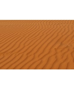 Hady Khandani, DESERT SOIL - SAHARA - MOROCCO 2