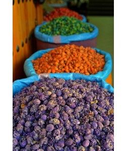 Hady Khandani, DREID AND COLORED BLOSSOMS - MOROCCO