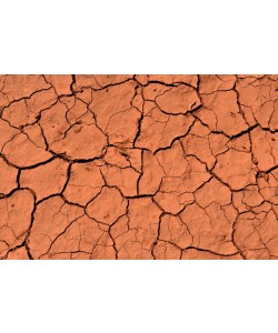 Hady Khandani, DREID SOIL